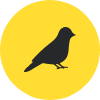 Bird Icon