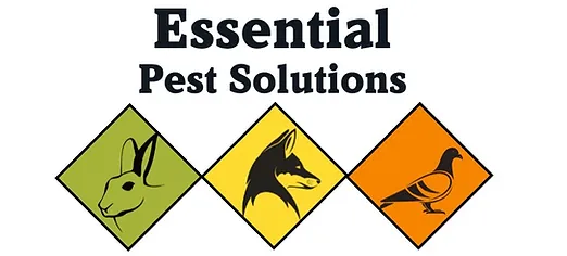 Essential Pest Solutions