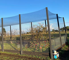 Orchard Netting