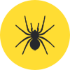 Spider Icon