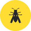 Wasp Icon